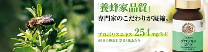 狭心症、血管疾患、膀胱炎、改善に『プロポリス300』
情報サイト